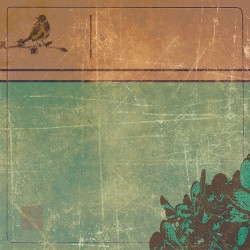 My Hair Is A Rat's Nest Fragment