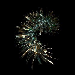 夢遊病者(Sleepwalker) Skopofoboexoskelett