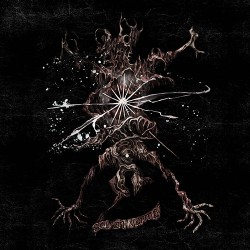 Sól Án Varma Sól Án Varma