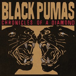 The Black Pumas Chronicles Of A Diamond