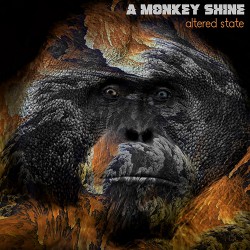 A Monkey Shine Altered State