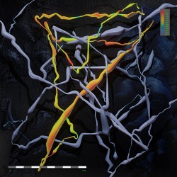 Folly Group Down There!