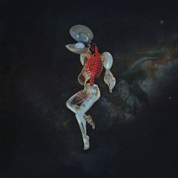 Hail Spirit Noir Fossil Gardens