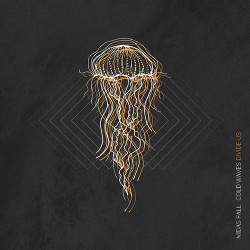 Midas Fall Cold Waves Divide Us