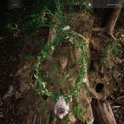 Pharmakon Maggot Mass