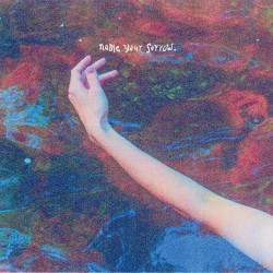 Pillow Queens Name Your Sorrow