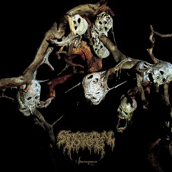 Spectral Voice Sparagmos