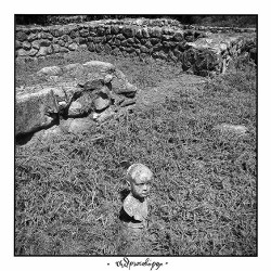 Τέλμα Ανθρωποβόρος