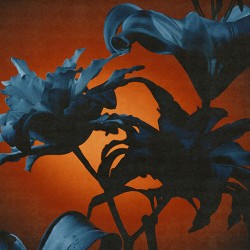 Tides From Nebula Instant Rewards