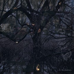 Trelldom ...By The Shadows...