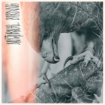 Author & Punisher - Nocturnal Birding