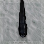 Cave Sermon - Fragile Wings