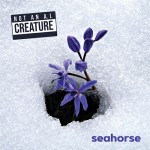Seahorse - Not An A.I. Creature
