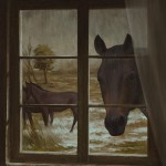 Shedfromthebody - Everything Out There Has Teeth