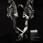 Suede - Antidepressants
