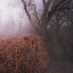 The Devil's Trade - Nincs Szennyezetlen Szep