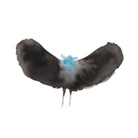 Hayward×Dälek - Hayward×Dälek