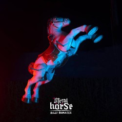 Billy Nomates Metalhorse
