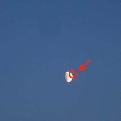 Cleopatrick Fake Moon