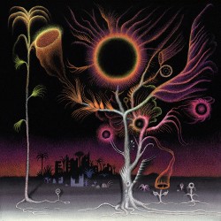 Laura Agnusdei Flowers Are Blooming In Antarctica