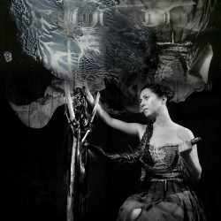 Maud The Moth The Distaff