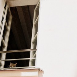 Mhaol Something Soft