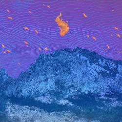 Pelican Flickering Resonance