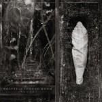 Wolves In The Throne Room - Estuary