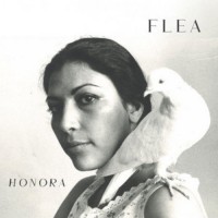 Flea - Honora