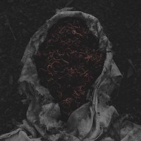 Gorrch - Stillamentum