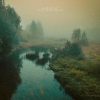 Laughing Stock - Life In Seven Dreams