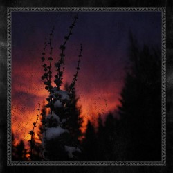 Blackbraid Nocturnal Womb (EP)
