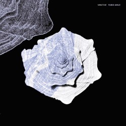 Fabio Anile Minutiae