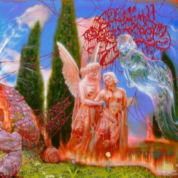 Killing Of A Sacred Deer Encephalic Angels