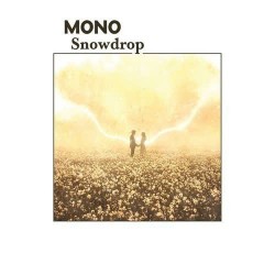 Mono Snowdrop