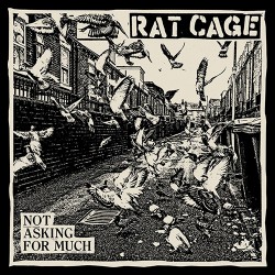 Rat Cage Not Asking For Much