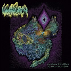 Wharflurch Mycodeath And Rebirth In The Outer Clusters
