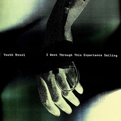 Youth Novel I Went Through This Experience Smiling