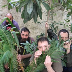 N'Cheezed Bubu (Μπουμπού)