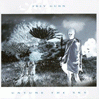 Trey Gunn Untune The Sky