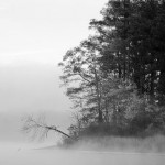 Ανασκόπηση 2010: Black / Death Metal