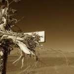 Ανασκόπηση 2010: Doom / Stoner / Sludge / Heavy Rock