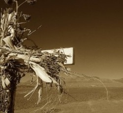 Ανασκόπηση 2010: Doom / Stoner / Sludge / Heavy Rock 