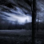 Ανασκόπηση 2012 : Atmospheric Doom / Gothic / Folk Metal