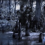 «A Beginner's Guide»: 00s Sludge Metal