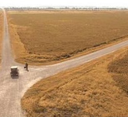 Ανασκόπηση 2012: Blues / Soul / Country / R&B 