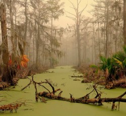 «A Beginner's Guide»: 90s Sludge Metal