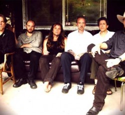 «A Buyer's Guide»: Swans 