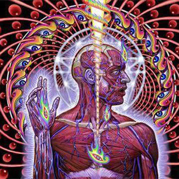 Tool - Lateralus