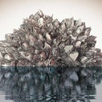 Ανασκόπηση 2016: Post-Rock